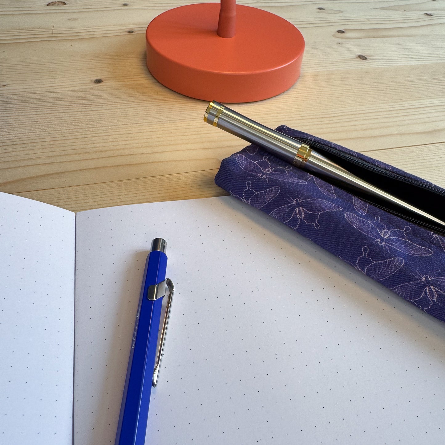 Butterfly & Moth Field Notes Gift Set