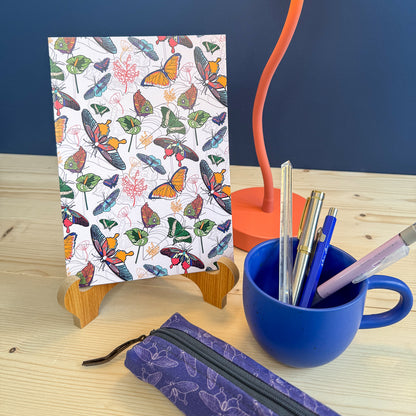 Butterfly & Moth Field Notes Gift Set